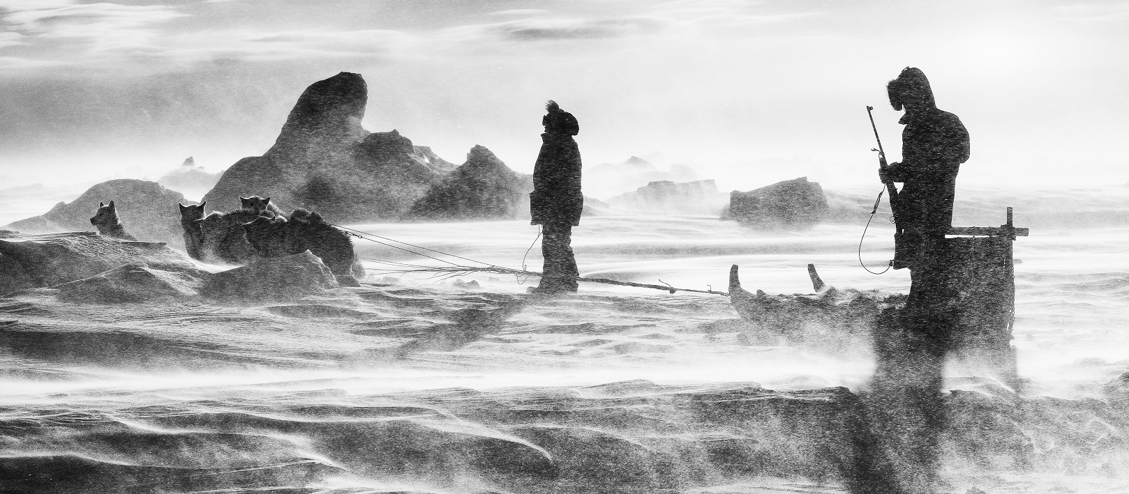 Carsten Egevang Scoresbysund East Greenland 2 2011